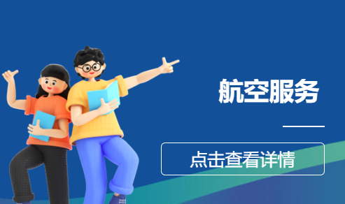 航空服务